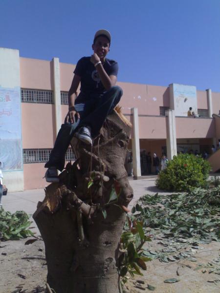 nourdin   SM . STYLE